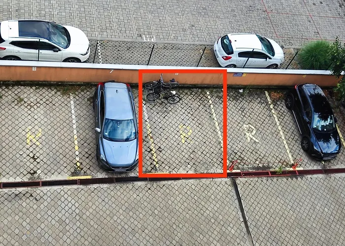 Daire Molly Novi Sad